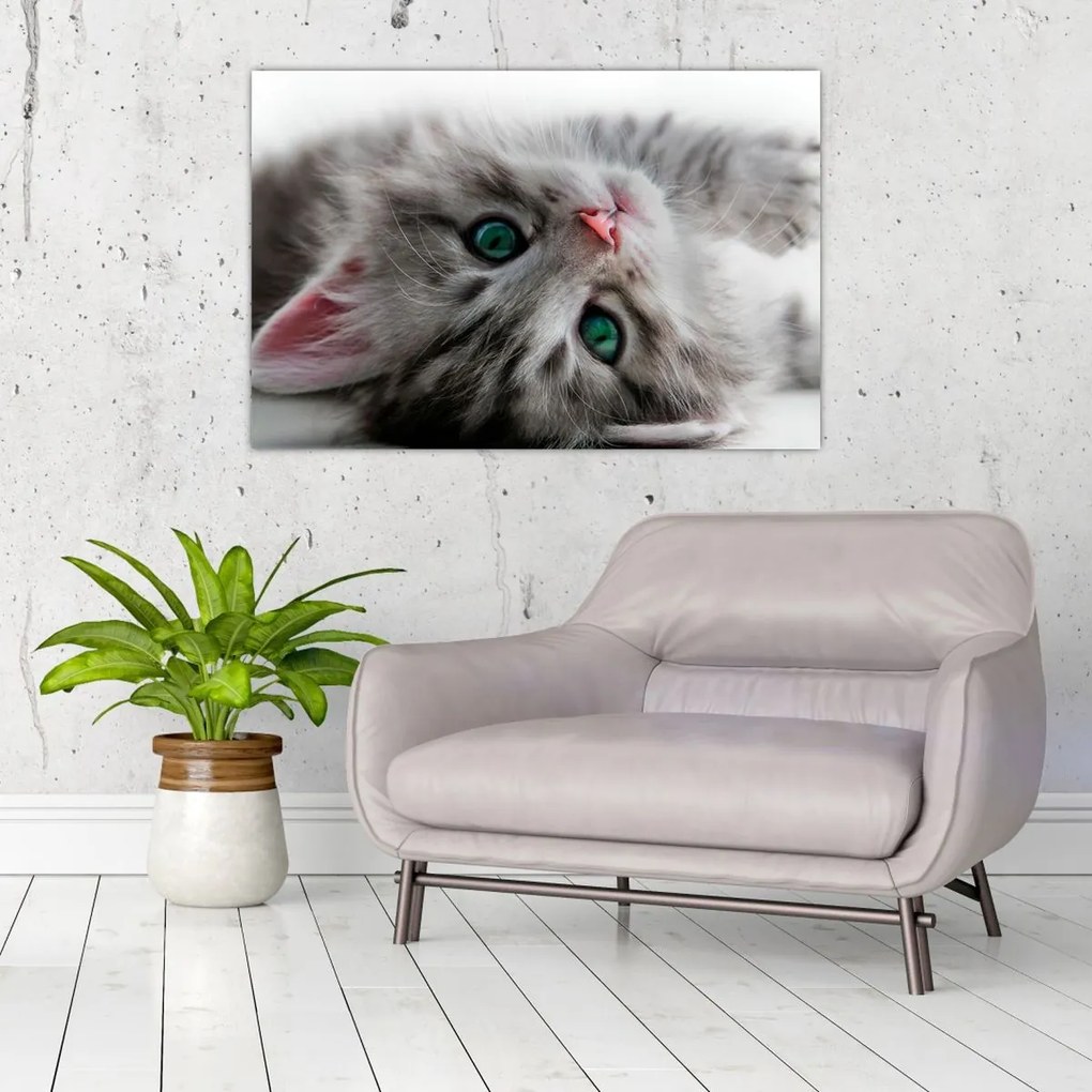 Tablou - Pisica cu ochi verzi (90x60 cm)