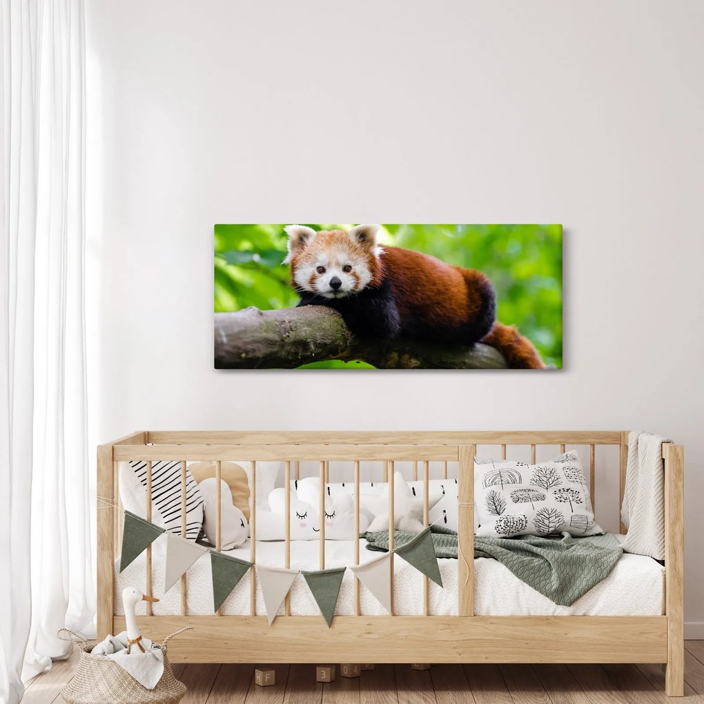 Tablou cu panda roșie (120x50 cm)