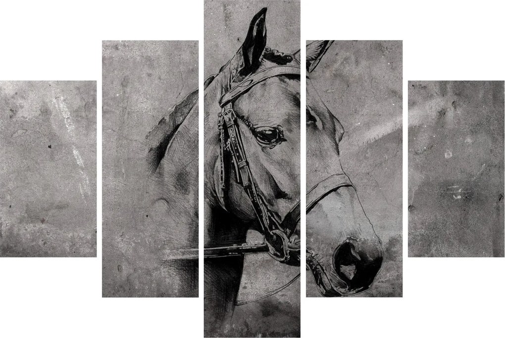 Tablou - Portret de cal (150x105 cm)
