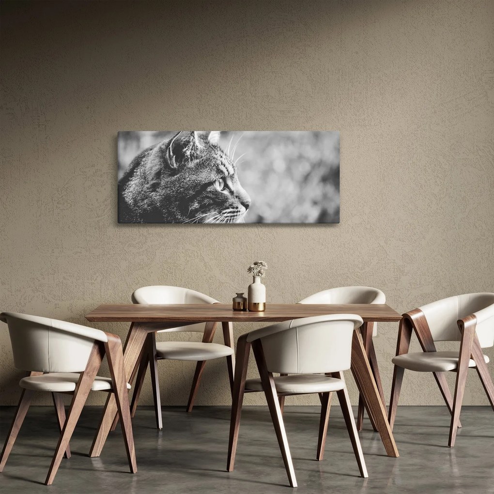 Tablou - Pisica (120x50 cm)