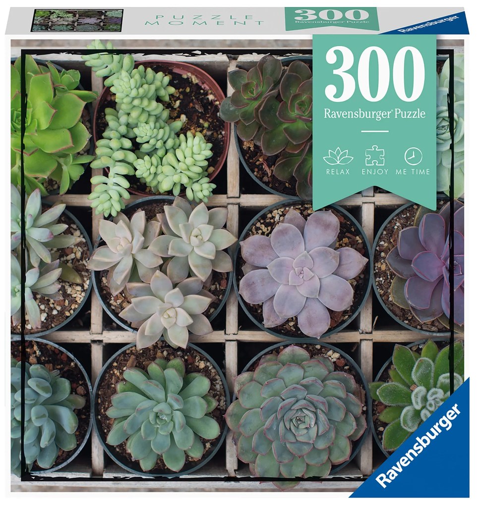 PUZZLE PLANTE SUCULENTE, 300 PIESE - RAVENSBURGER (RVSPA12967)