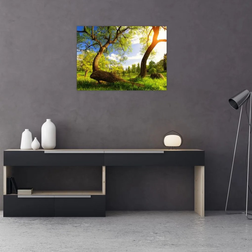 Tablou pe sticlă lunca ne primăvară (70x50 cm)