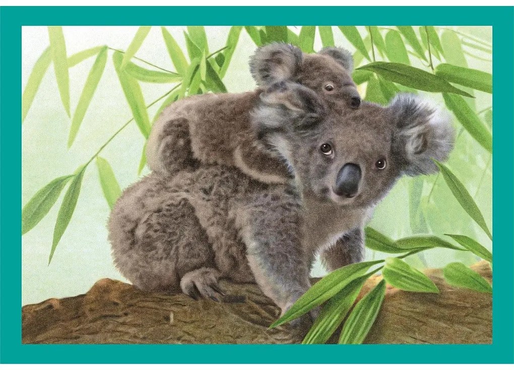 Animale Baby Cuddles Puzzle 4 în 1 Clementoni