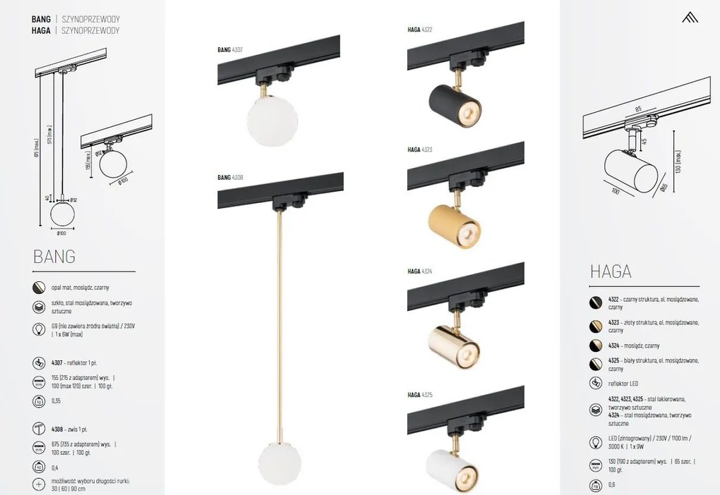Spot pe sina NET alb / Accesoriu pentru sinele trifazate ARGON T-RACK