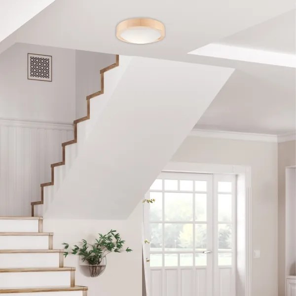 Plafonieră NATURAL SLIM 1xE27/60W/230V ø 27 cm pin