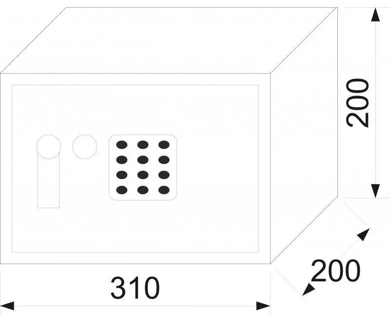 RS 20 EDK seif electronic