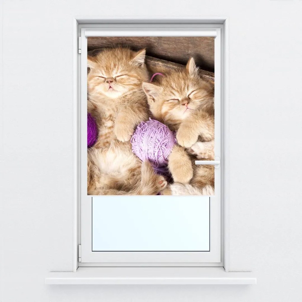 Fotojaluzele R014996R42150 (42x150 cm)