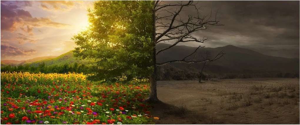 Tablou - cercul vieții (120x50 cm)