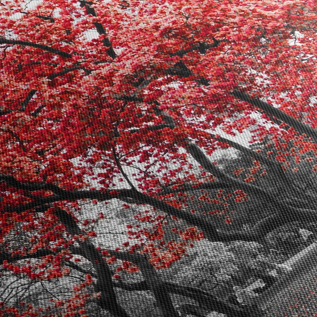Tablou - Copacii roșii, Central Park, New York (90x60 cm)