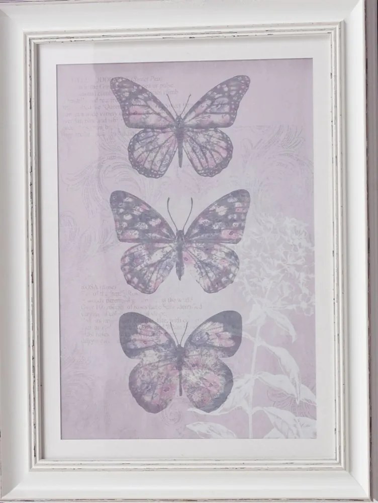 Imaginea încadrată  - Enchanted Butterflies