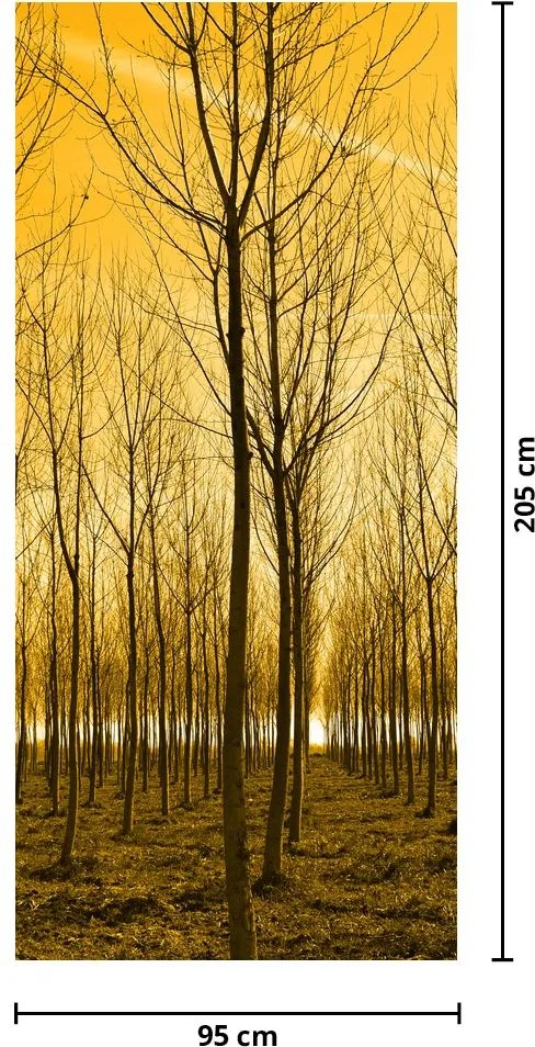 Fototapet pentru ușă - Pădurea la apus de soare (95x205cm)