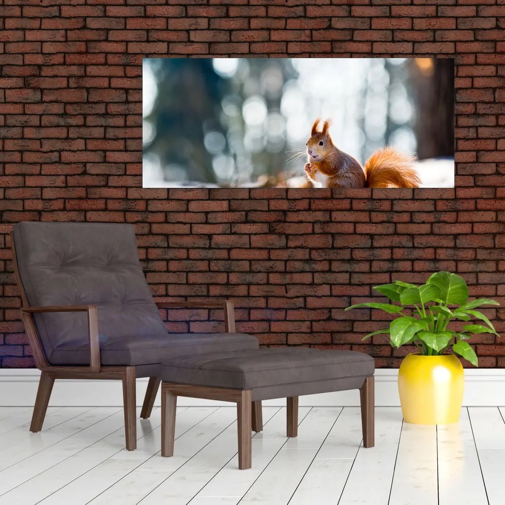 Tablou - Veveriță (120x50 cm)