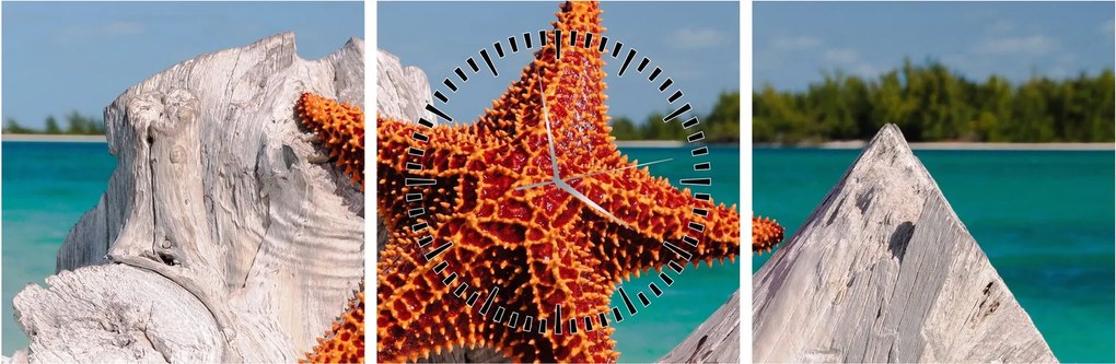 Tablou cu stea de mare (cu ceas) (90x30 cm)