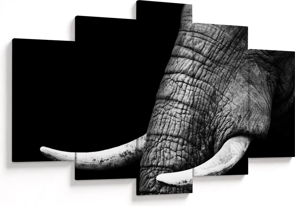 Tablou - Colți de elefant (150x105 cm)