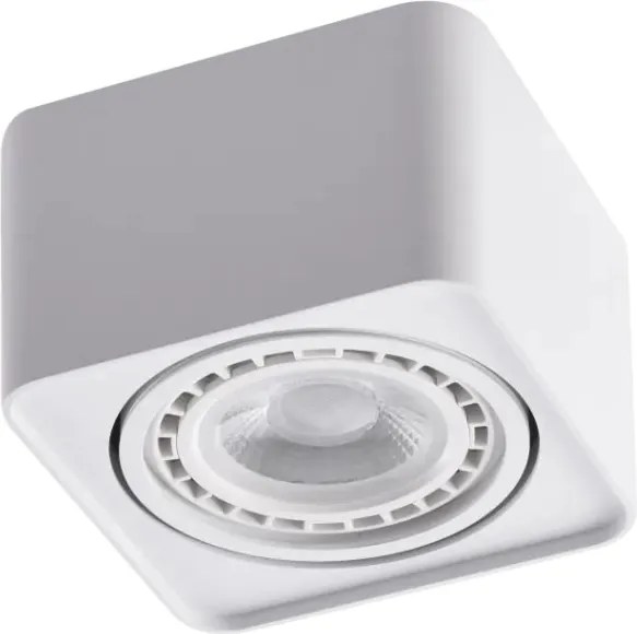 Spot aplicat PAOLA 1 230V WH