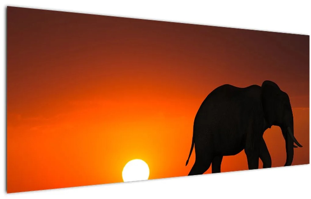 Tablou cu elefant în apus de soare (120x50 cm)
