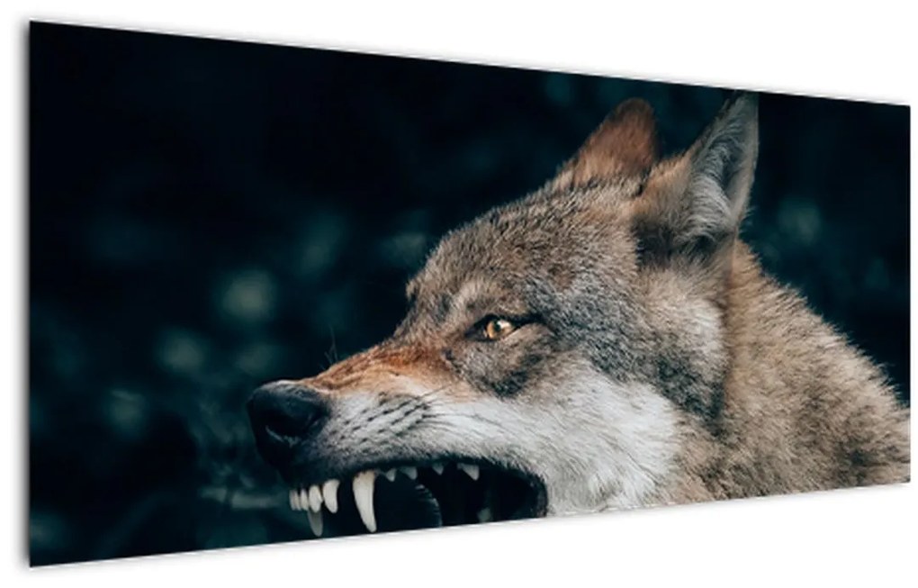 Tablou cu lup (120x50 cm)
