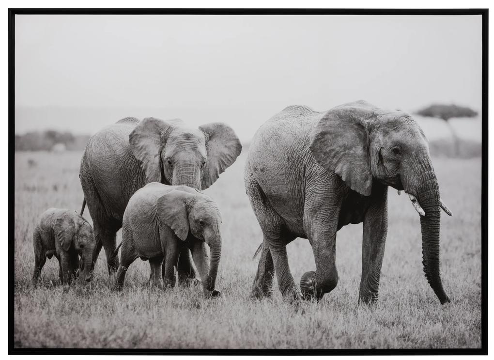 Tablou Family Elephant 144/4,5/104,2 cm