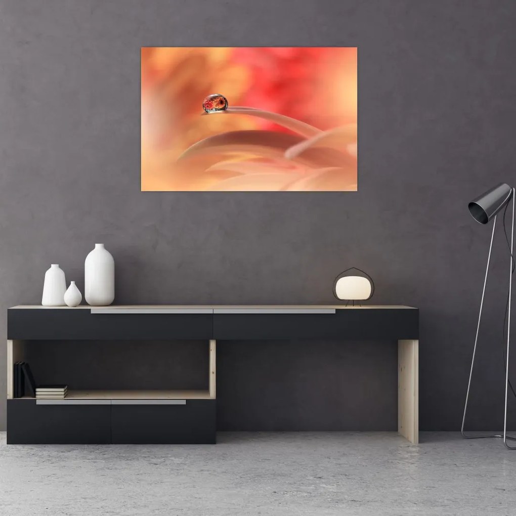 Tablou picăturii de rouă pe floare (90x60 cm)