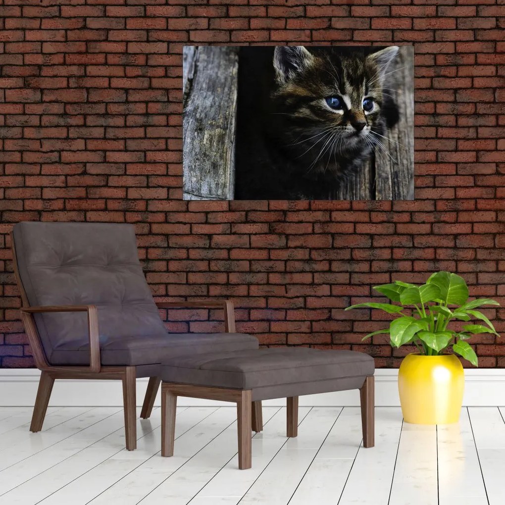 Tablou cu pisicuța (90x60 cm)