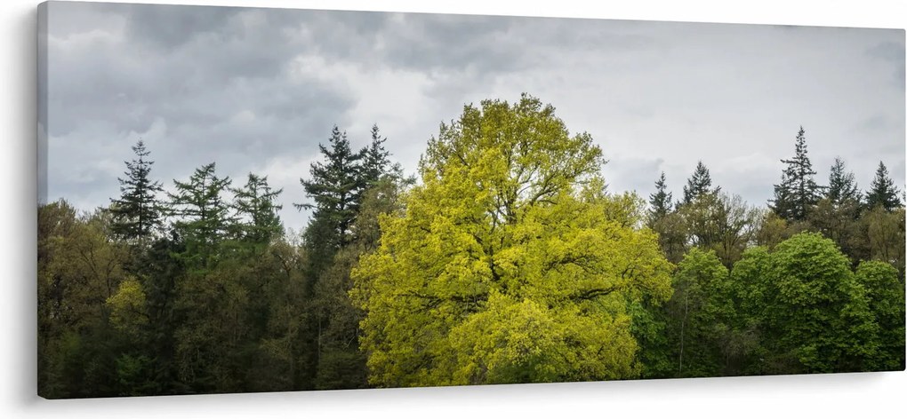 Tablou - Copac verde în câmp (120x50 cm)