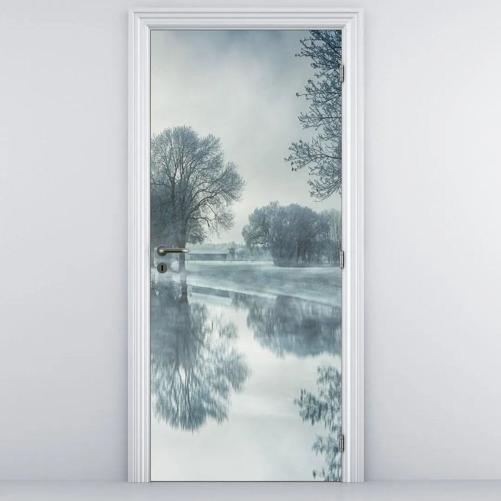 Fototapet pentru ușă - Natura iarna (95x205cm)
