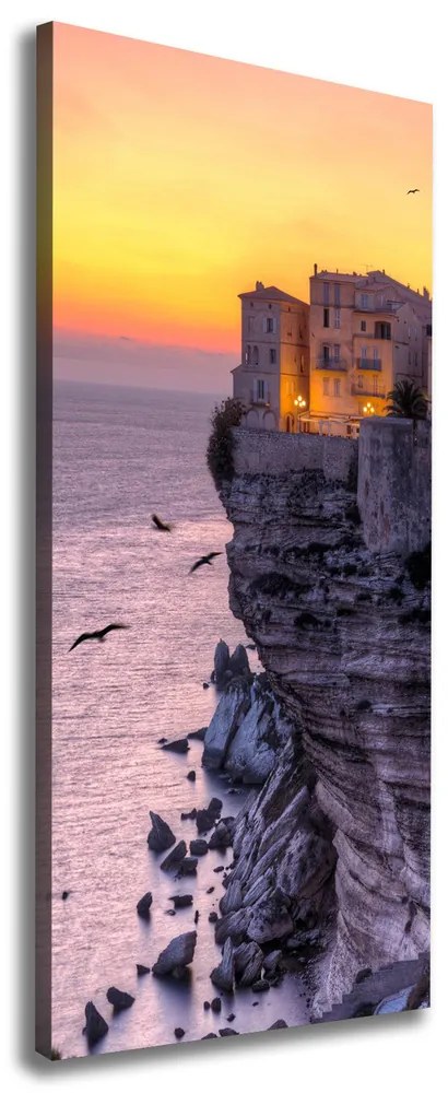 Imprimare tablou canvas Case pe stâncă