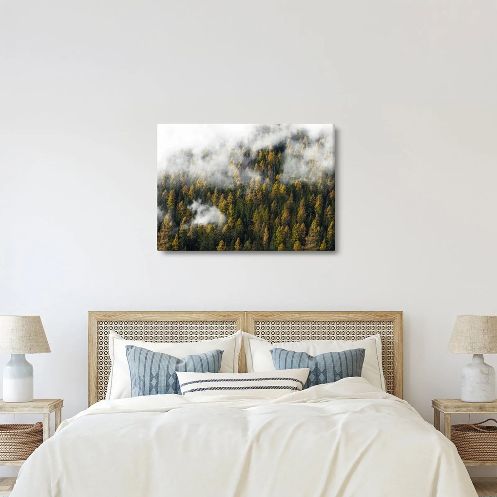 Tablou - Pădure în nori (70x50 cm)