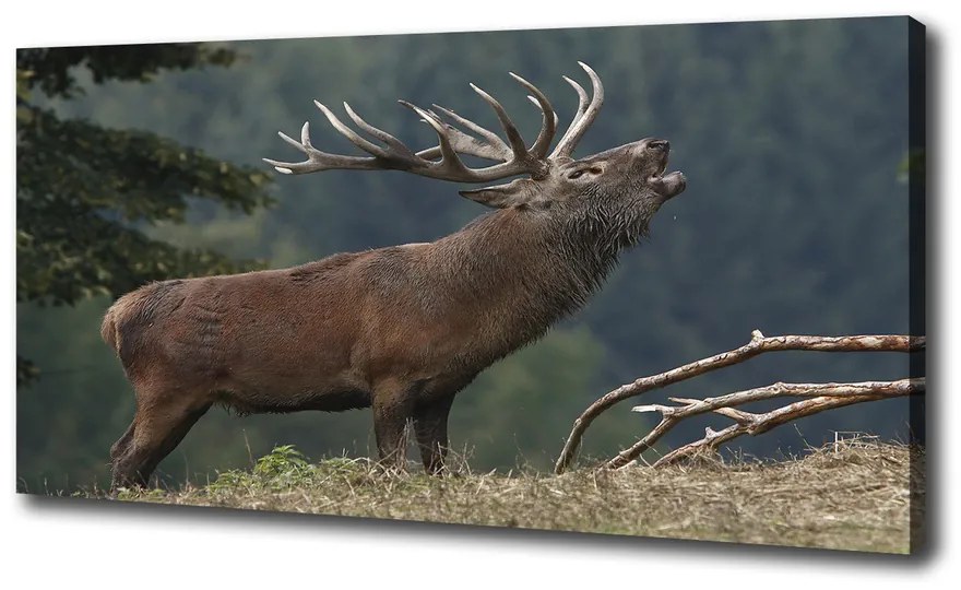 Tablouri tipărite pe pânză Deer pe deal