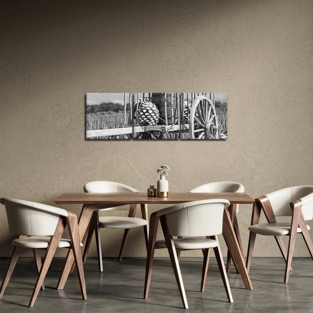 Tablou - Remorcă,alb-negru (cu ceas) (90x30 cm)