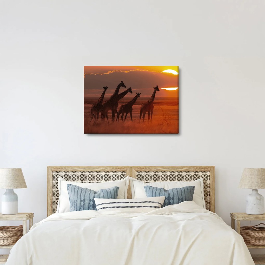 Tablou - Girafe în savana africană (70x50 cm)