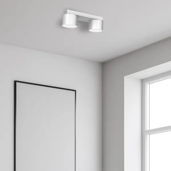 Plafonieră DIXIE 2xGX53/11W/230V albă