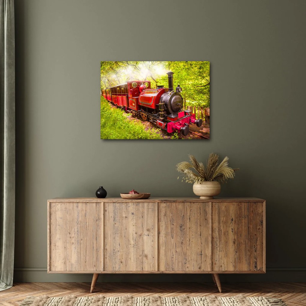 Tablou - Tren cu aburi (70x50 cm)