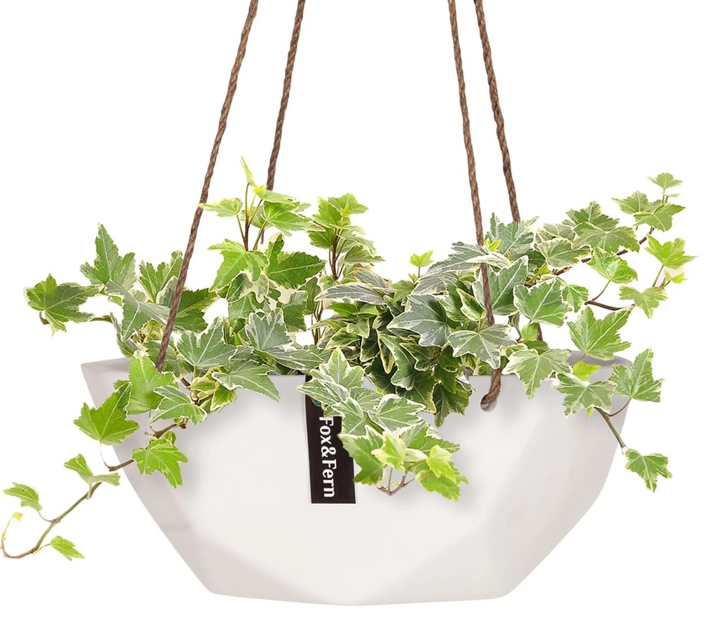 Laren, ghiveci suspendat, Ø 28 cm, Polystone, cu frânghii naturale, set de 2 bucăți