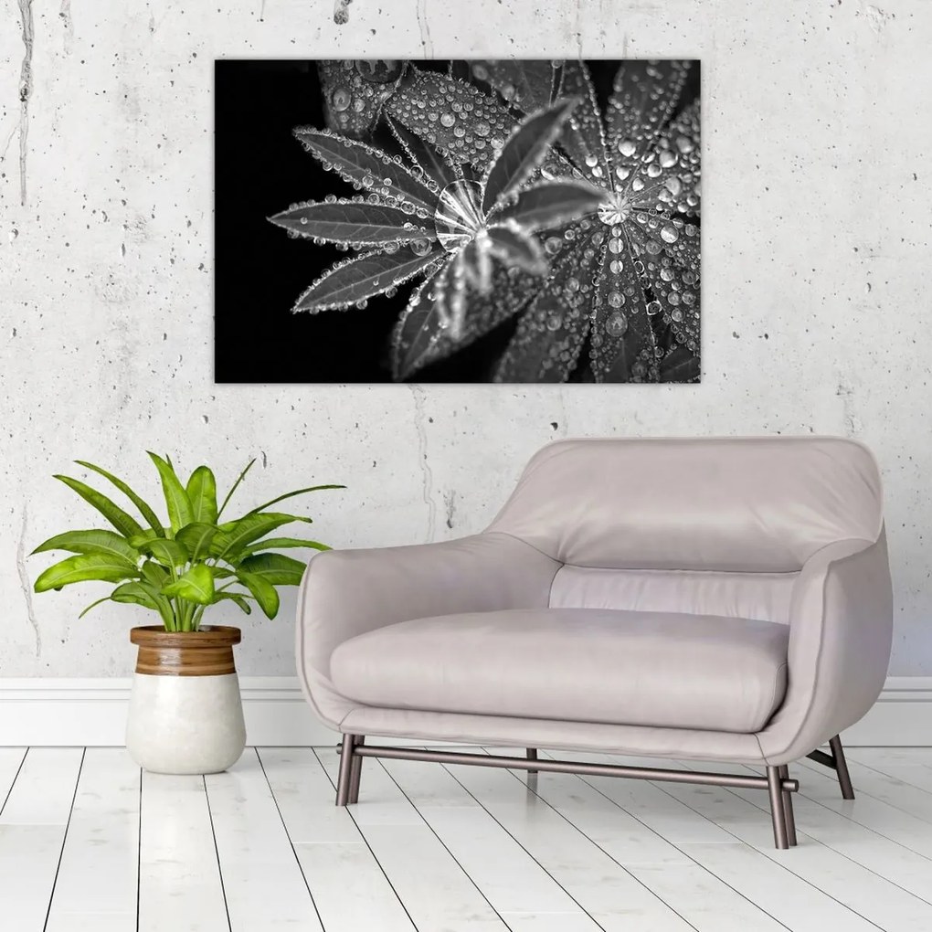 Tablou - Frunze cu picături (90x60 cm)