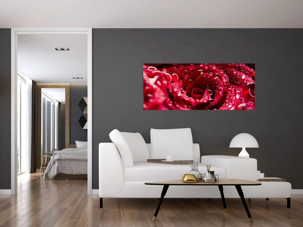 Tablou cu floarea trandafirului roșu (120x50 cm)