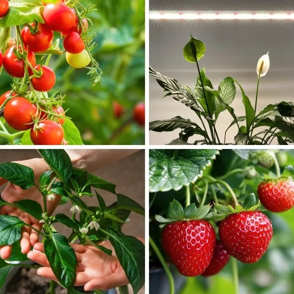 LED lampă subacvariu pentru creșterea plantelor GROWLY LED/15W/230V