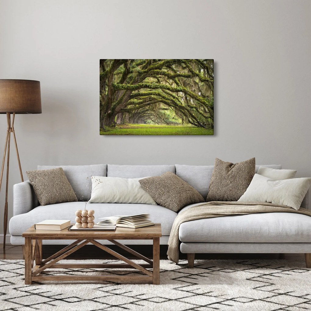 Tablou - Oaks Avenue, Charleston, Carolina de Sud, SUA (90x60 cm)