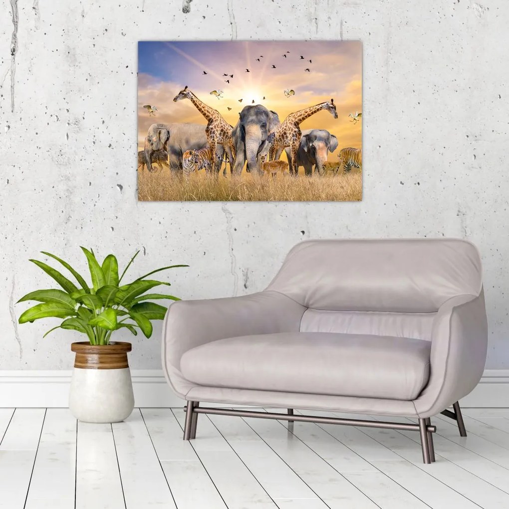 Tablou pe sticlă - Animae din Africa (70x50 cm)