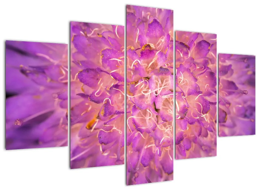 Tablou detailat cu floare (150x105 cm)