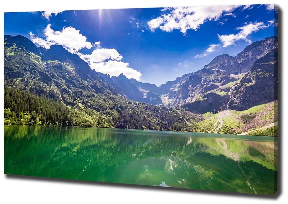Pictură pe pânză Marine ochi tatry