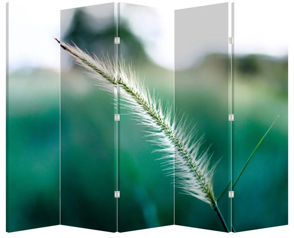 Paravan - Fir de iarbă (210x170 cm)