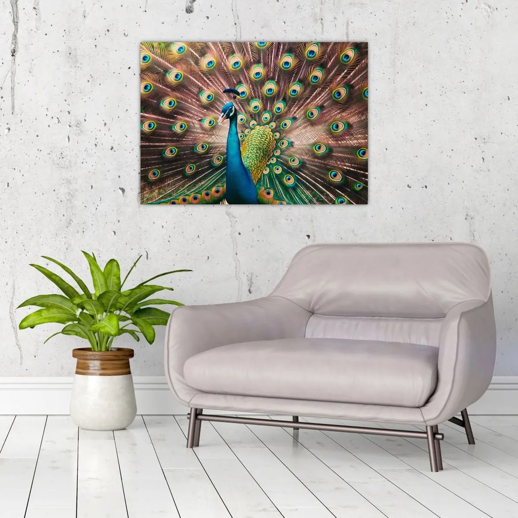 Tablou pe sticlă - Păun (70x50 cm)