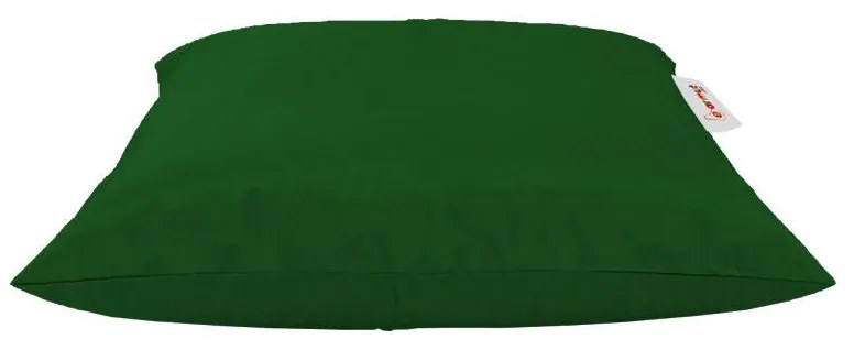 Pernă ședere Clear (Verde). 1101569