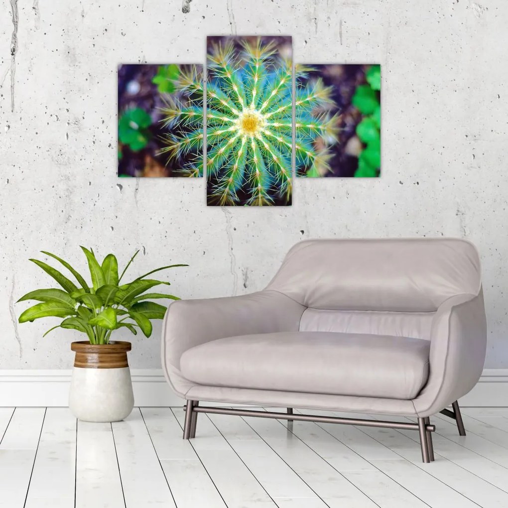 Tablou cu cactus (90x60 cm)