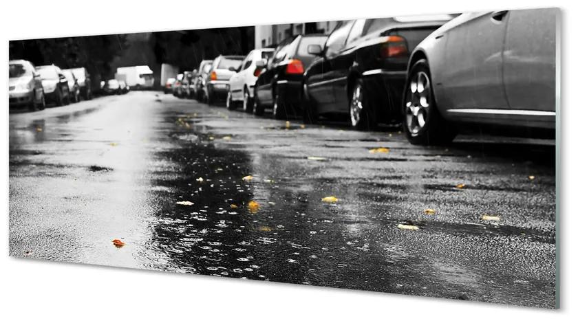 Tablouri acrilice Mașină rutier frunze de toamna