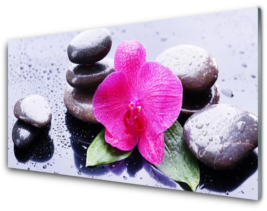 Tablouri acrilice Pietrele de flori Art Rosu Negru