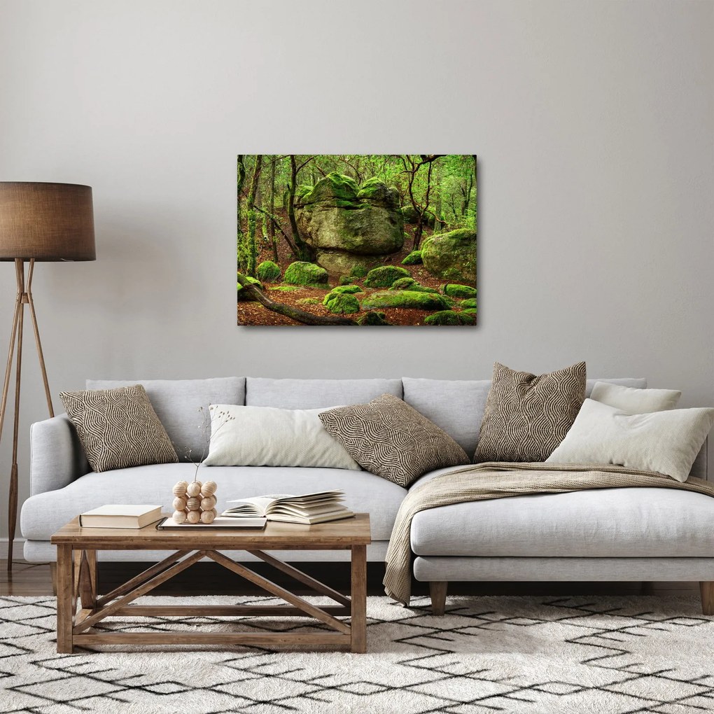 Tablou cu pădurea fermecată (70x50 cm)