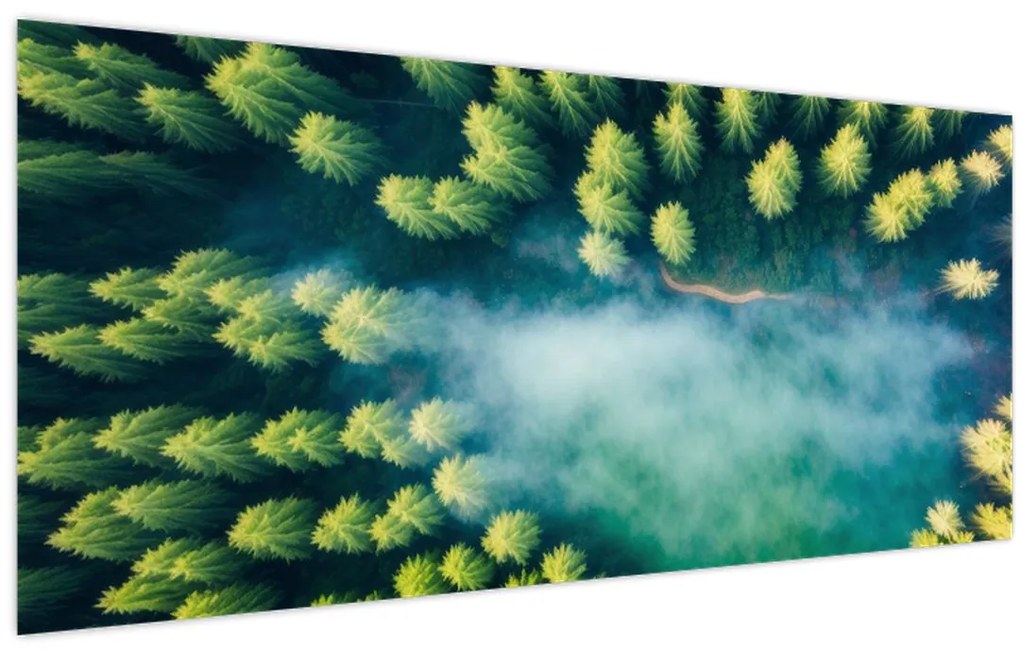 Tablou - O pădure învăluită în ceață (120x50 cm)