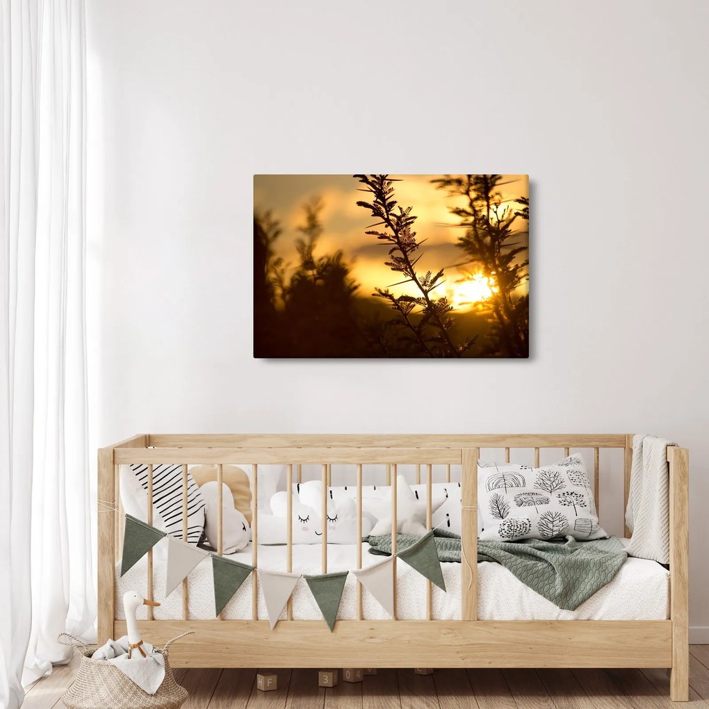 Tablou - Apus de soare (90x60 cm)